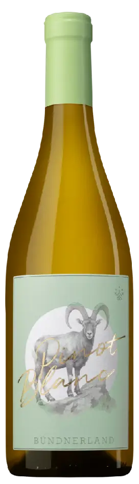 Pinot Blanc Malans Steinbock 2025