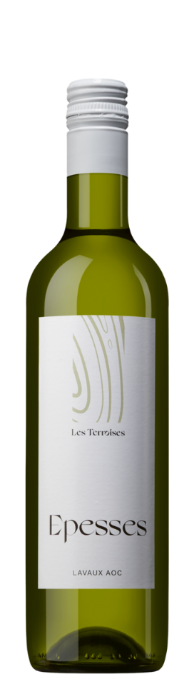 Les Terroises Epesses Lavaux AOC | Weisswein aus der Schweiz | 0.5l