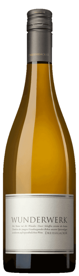 Dreissigacker Wunderwerk Grauburgunder BIO 2021 Dreissigacker Wunderwerk Grauburgunder BIO 2021