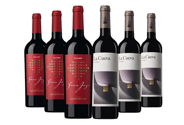 Spanien Tinto Paket 