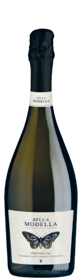 Bella Modella Prosecco DOC Extra Dry  Bella Modella Prosecco DOC Extra Dry