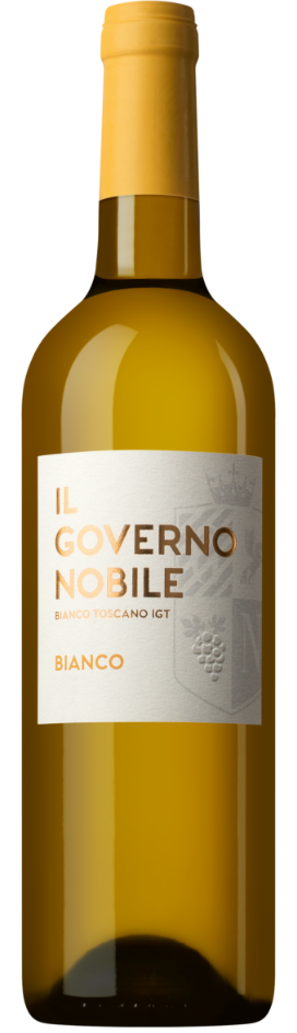 Il Governo Nobile Bianco 2025