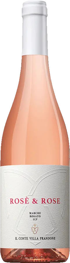 Il Conte Villa Prandone Rosè & Rose Rosato IGP 2024 Il Conte Villa Prandone Rosè & Rose Rosato IGP 2024