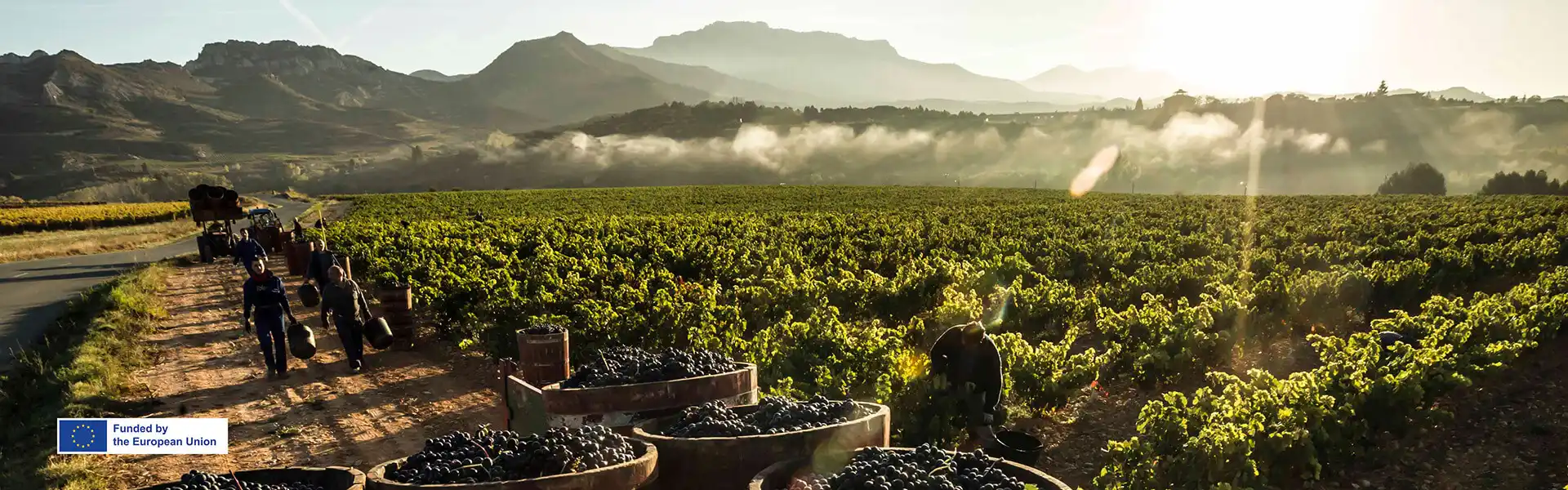 Rioja-Days