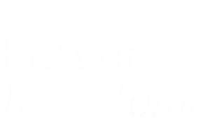 fellini_fuefvor_logoheader.png