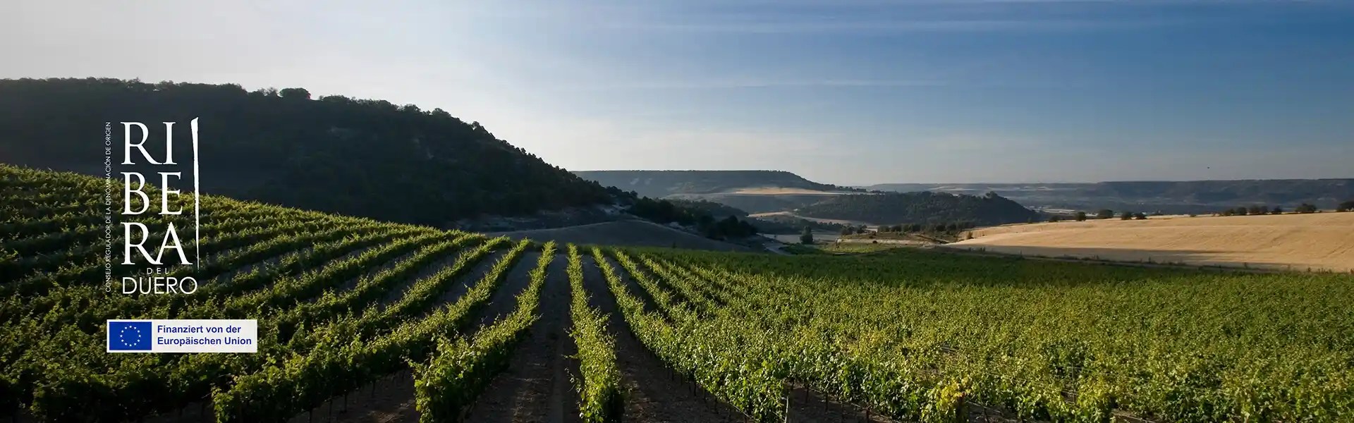 Ribera del Duero